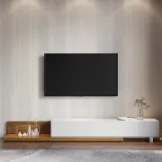 صورة سيرا وحدة تليفزيون 