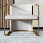 Picture of Louis Modern Metal chair and leather