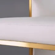 Picture of Louis Modern Metal chair and leather