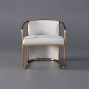 Picture of Louis Modern Metal chair and leather
