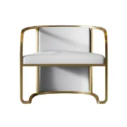 Picture of Louis Modern Metal chair and leather